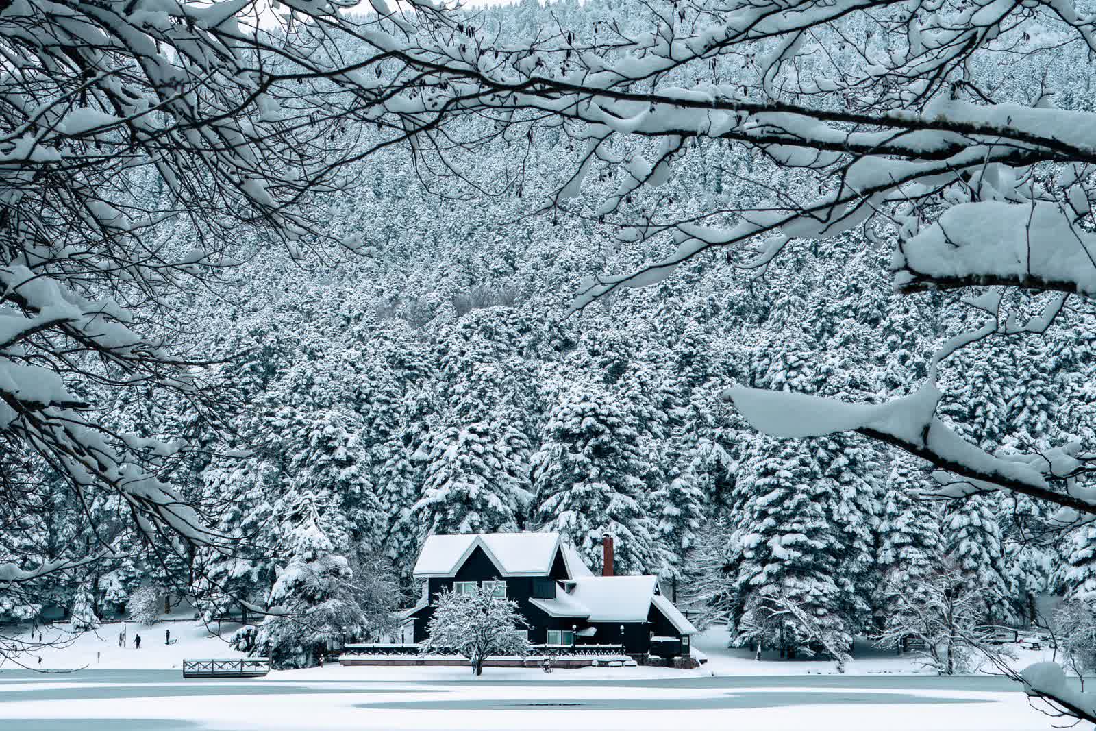 Snow-covered house and forest beside a frozen lake, a possible winter filming location